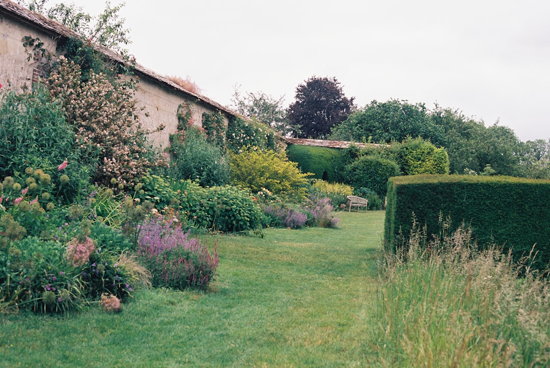 A well kept country garden with a trimmed lawn, tall hedge and stone outbuilding